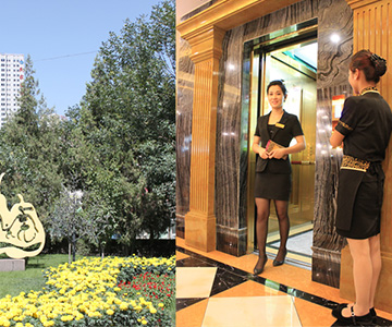 华亿网页版豪华型客梯亮相梨城